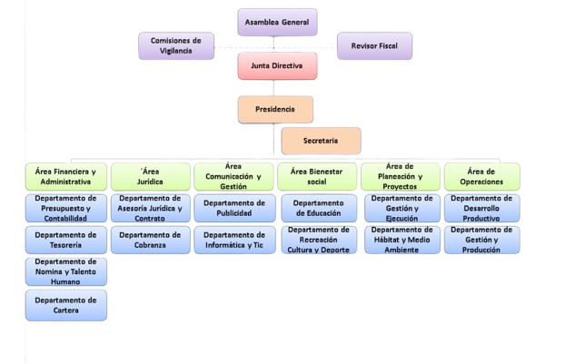 image-removebg-preview (1)